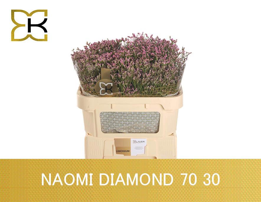 25x Lim.naomi diamond 70cm