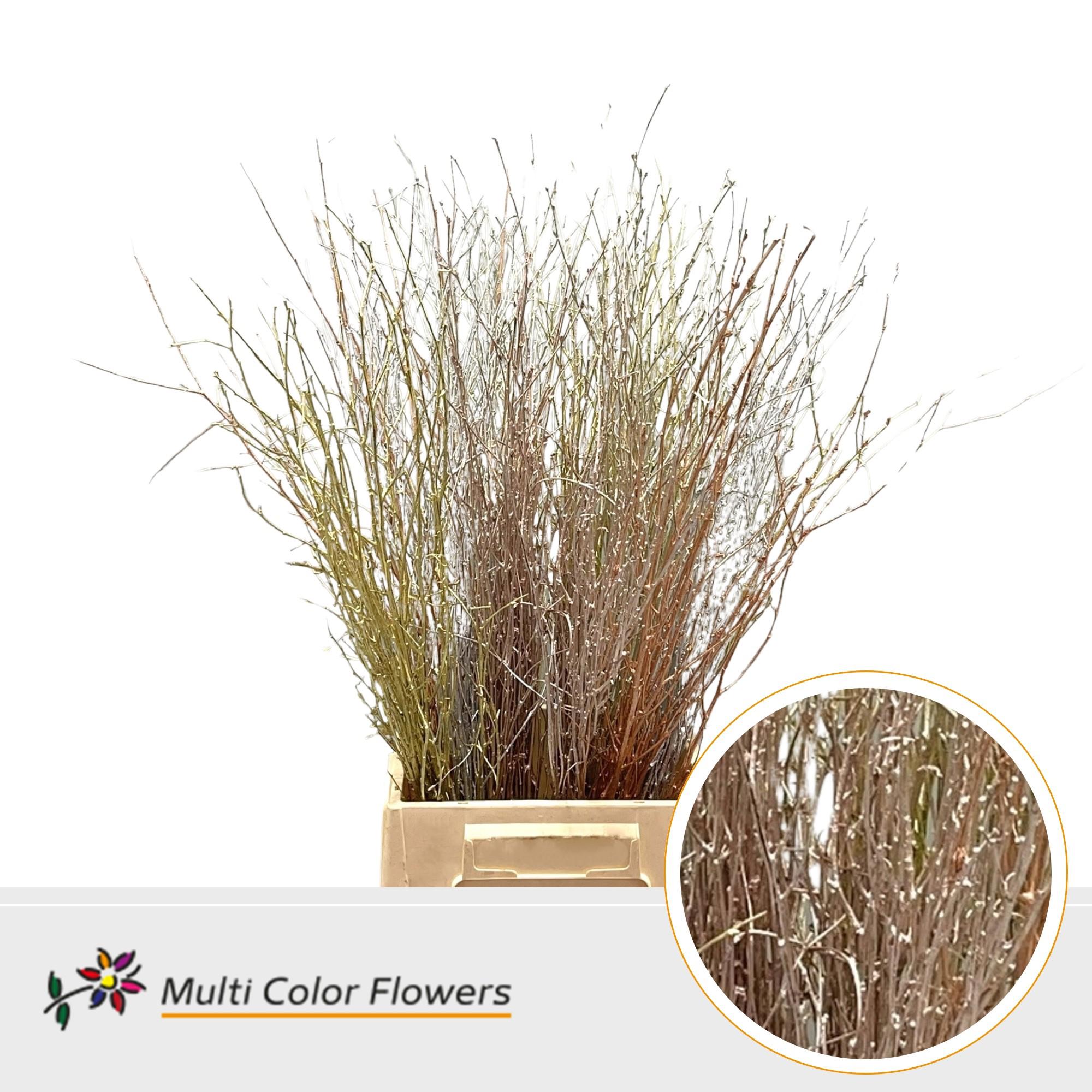 10x Tk betula mix kerst 70cm