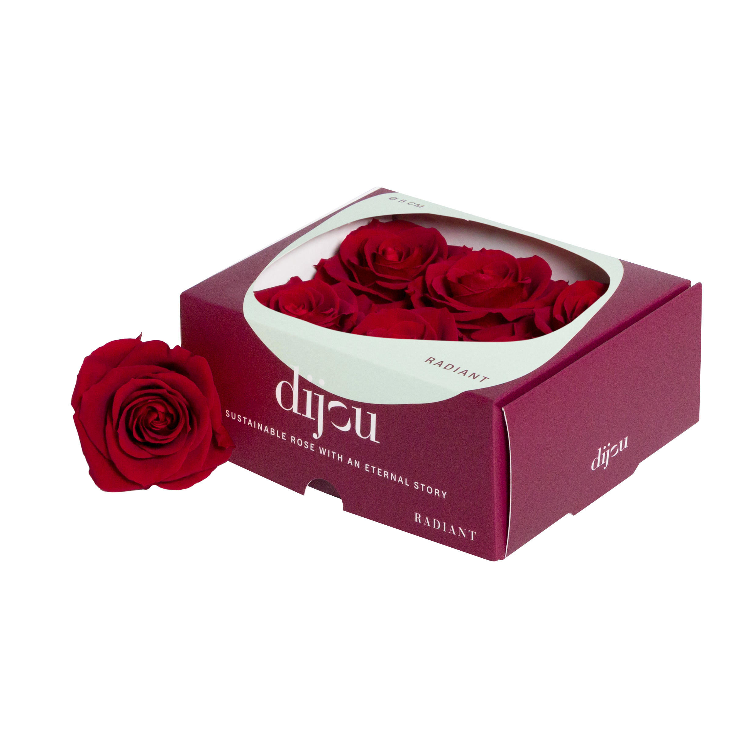 6x Dc pres.rozen red 1815c
