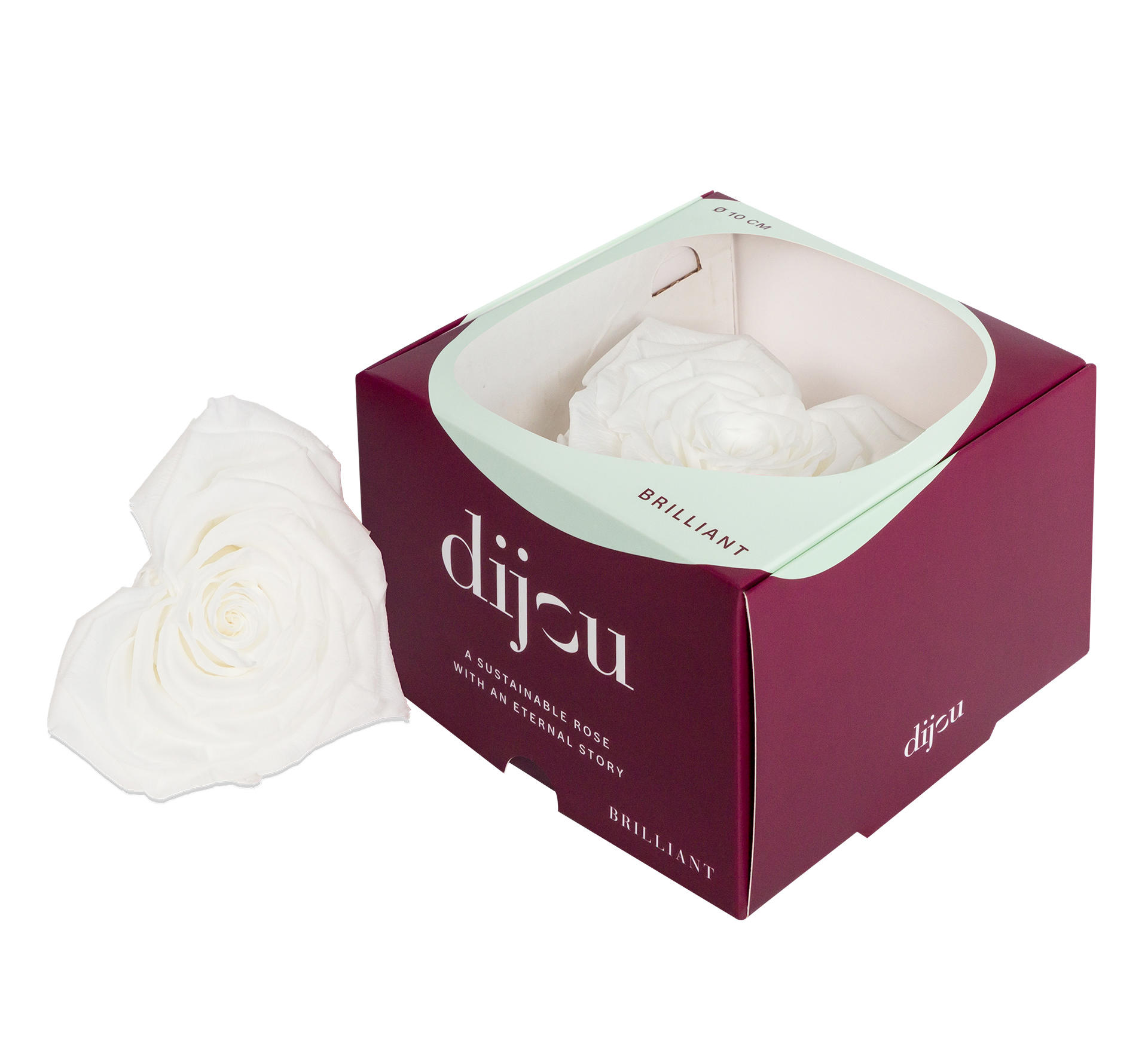 1x Rose preserved dc white heartshape