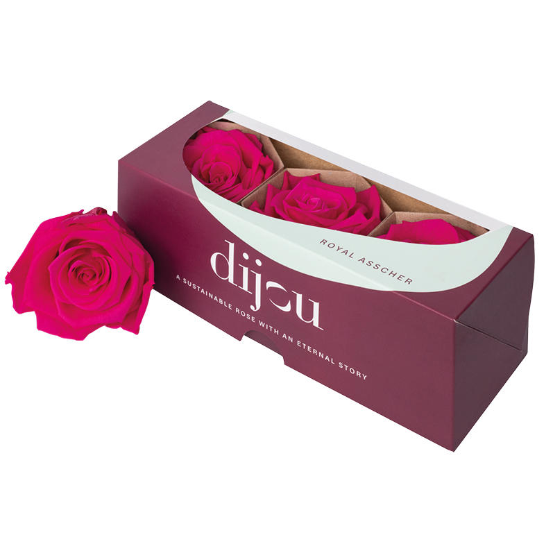 3x Dc pres.rozen fuchsia 2395c