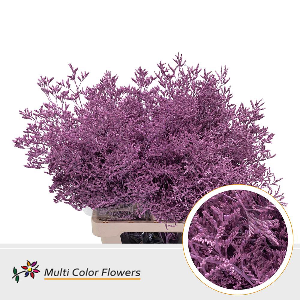 25x Lim. roze 70cm