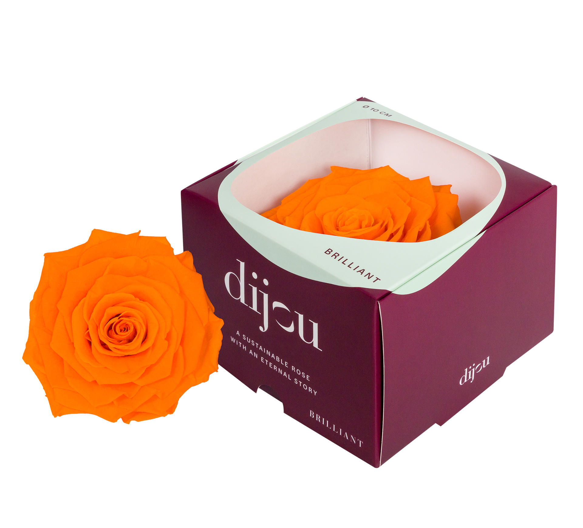 1x Dc pres.rozen orange 1505c