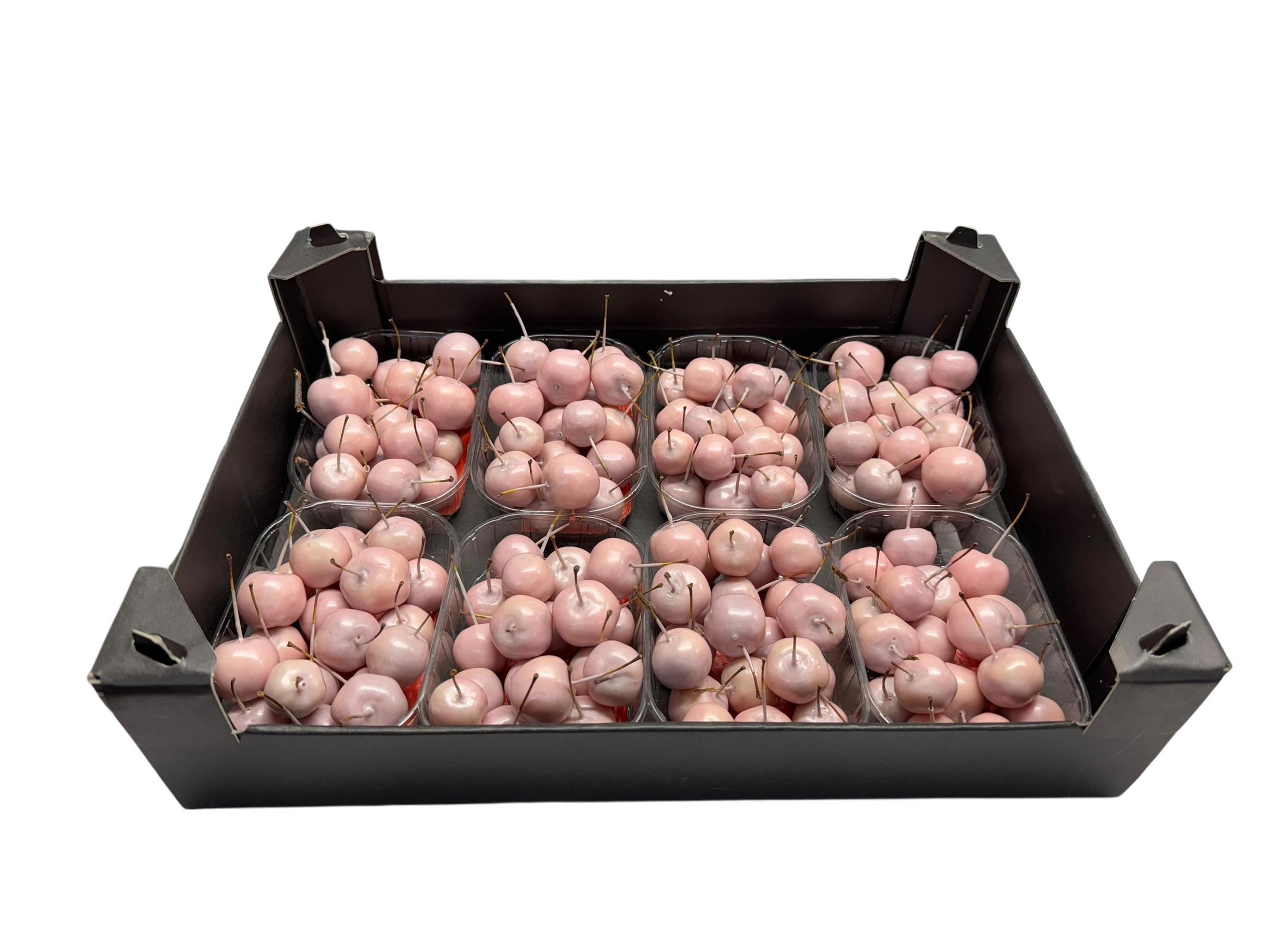 8x Sf malus wax ivoor
