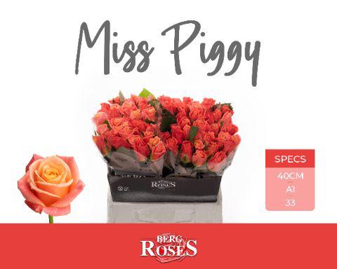 10x Rosa miss piggy+ 40cm