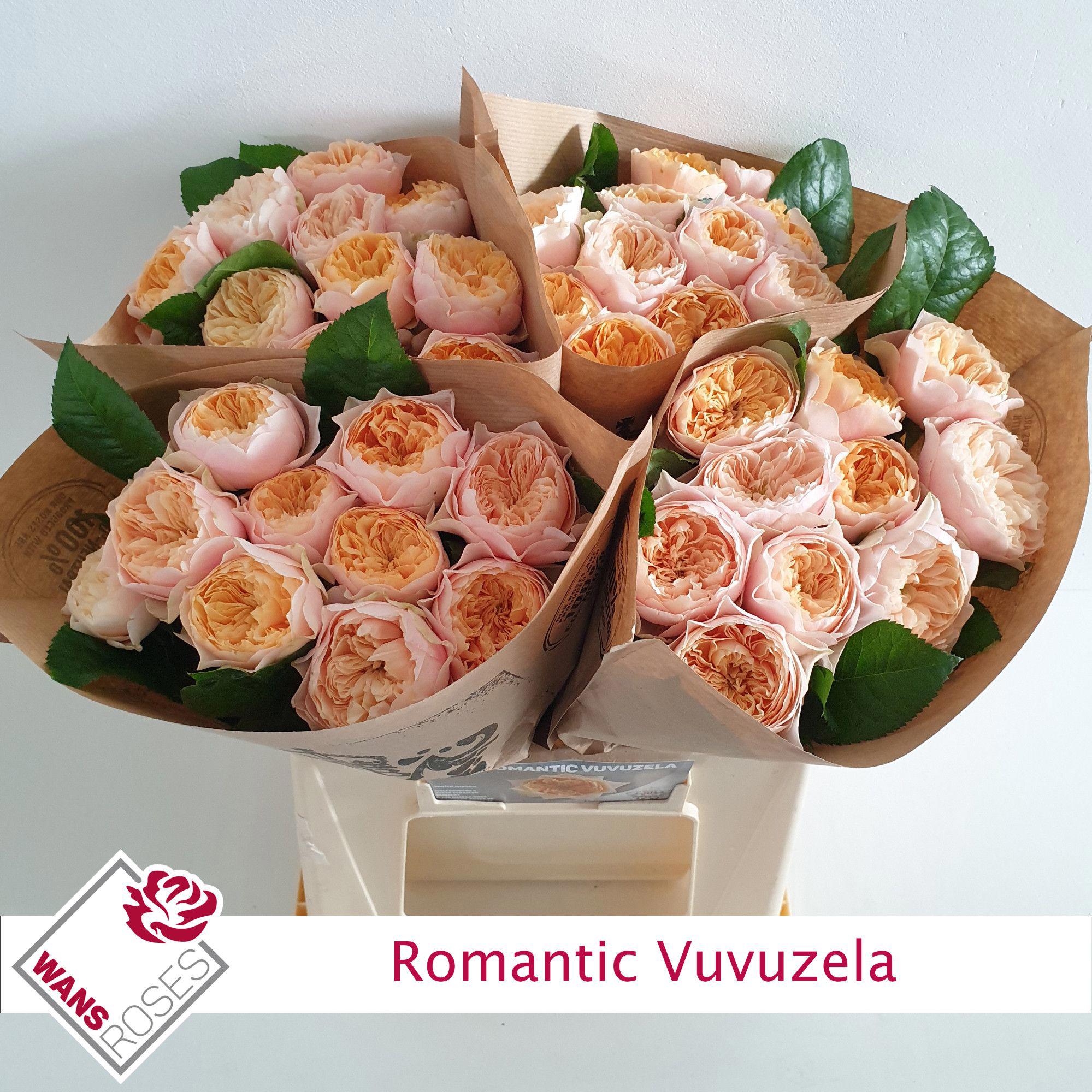 10x Rosa romantic vuvuzela 40cm