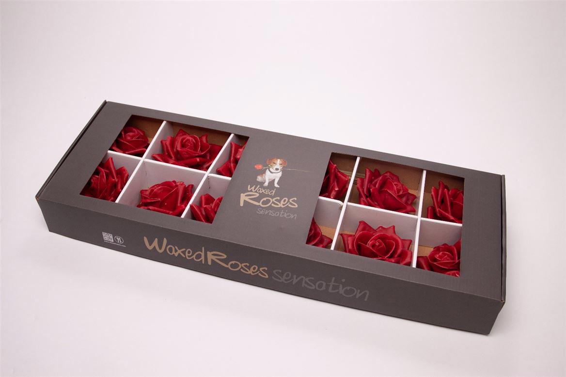 10x Dc wax zijden roos rood 10cm
