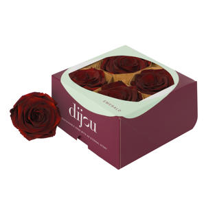 4x Dc pres.rozen dark amber