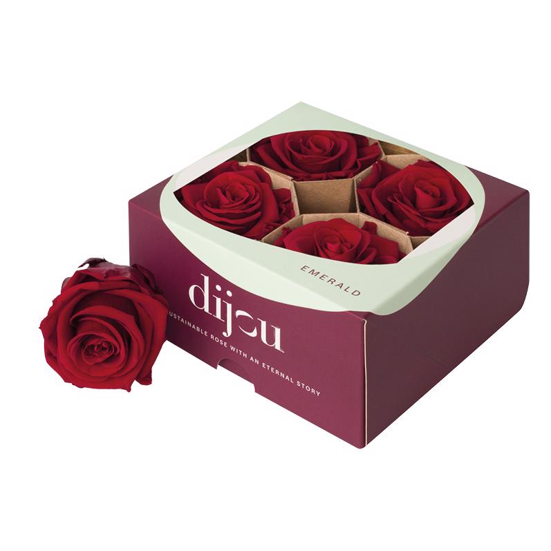 4x Rose preserved dc red 1815c