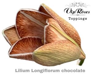 30x Lil.verf overig 80cm