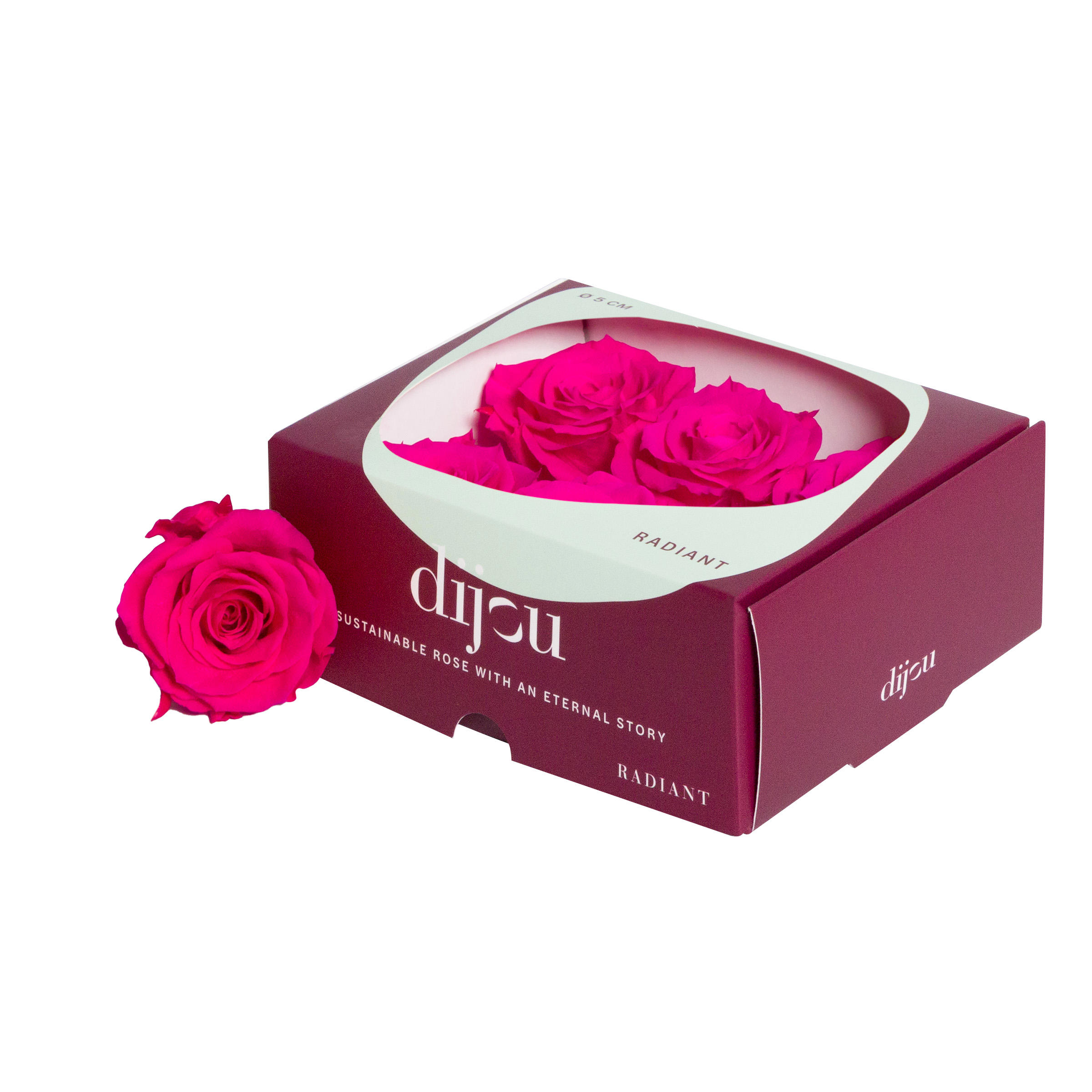 6x Dc pres.rozen fuchsia 2395c