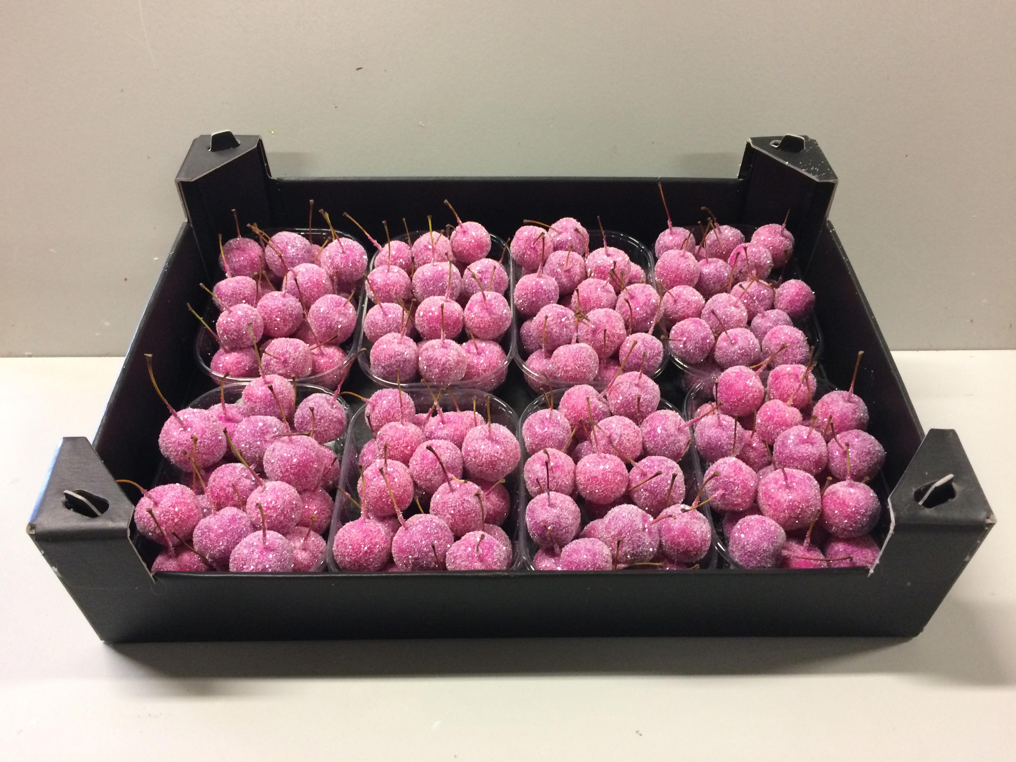 8x Sf malus wax fuchsia + glitter