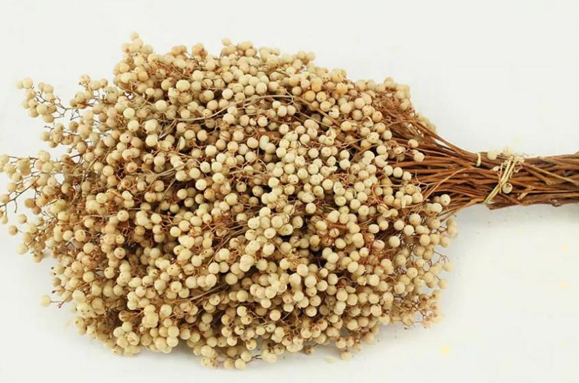 10x Dc pepper berry bleached white