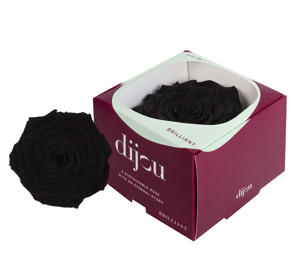 1x Dc pres.rozen black 0006c