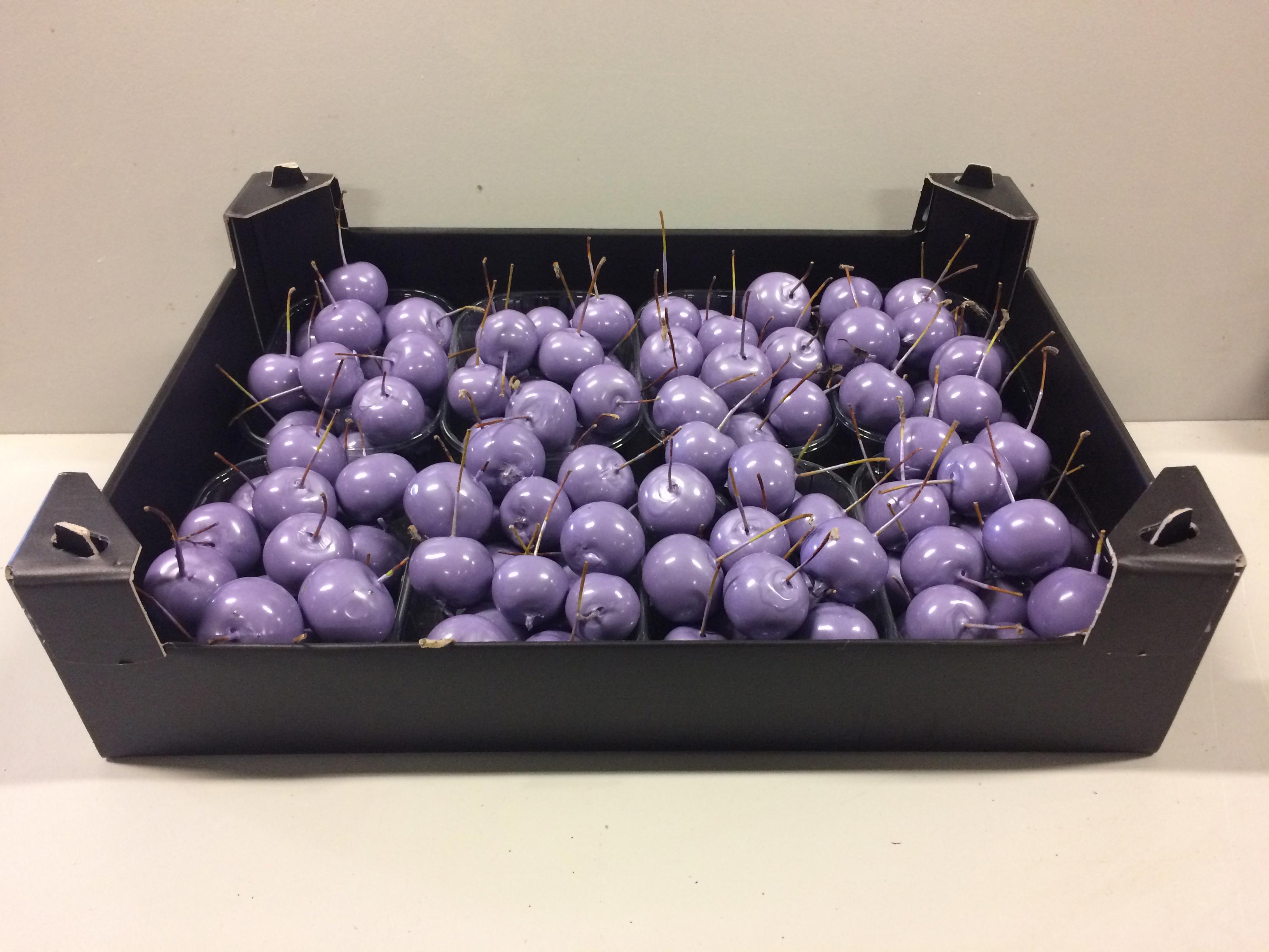 8x Sf malus wax lavendel