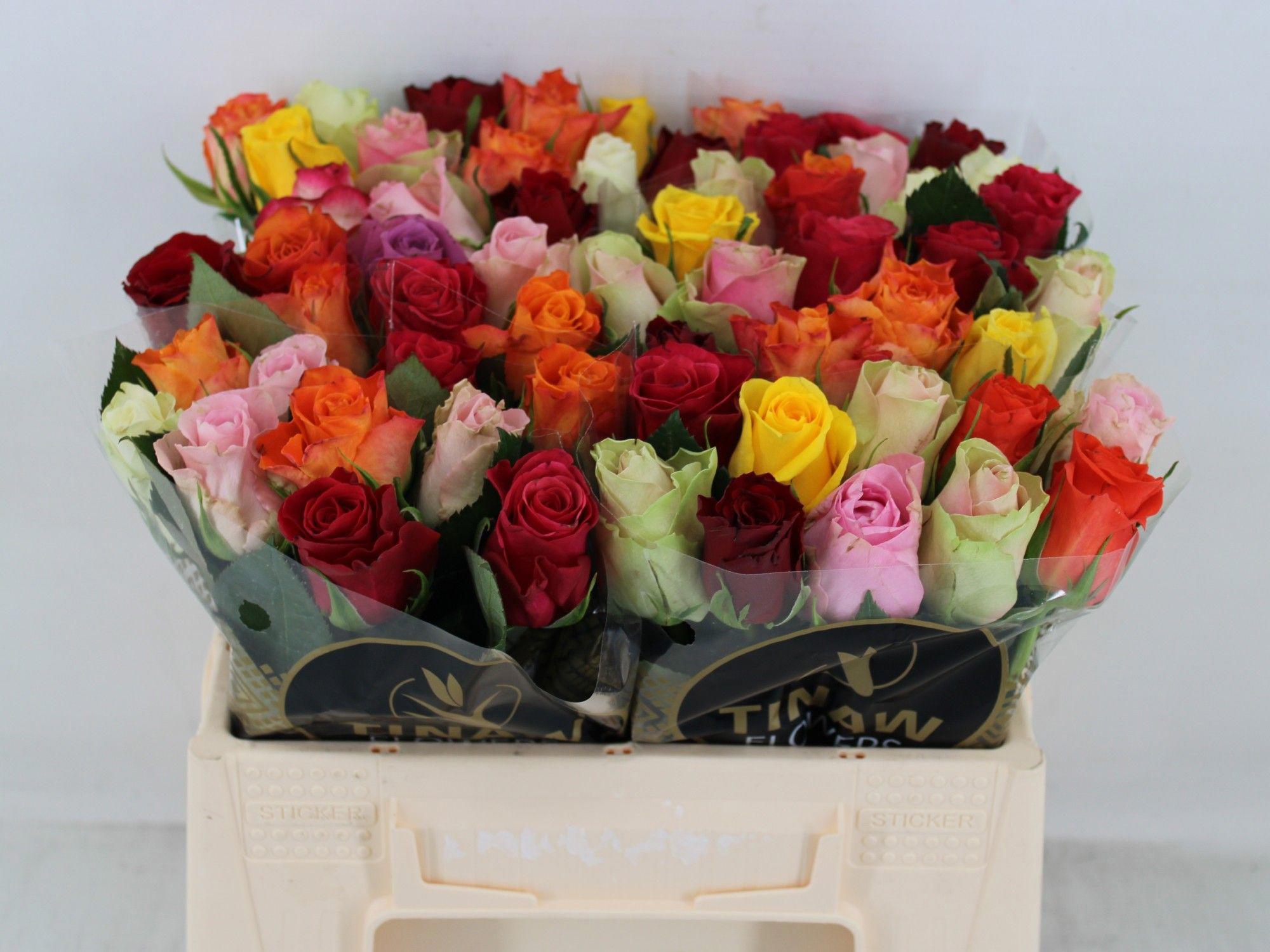 10x Rosa mix/bos gr 30cm