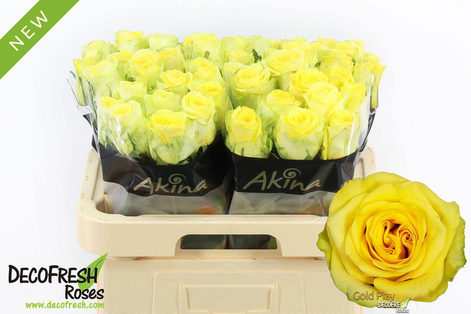 10x Rosa gold play 60cm