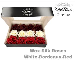 12x Rosa overig 10cm