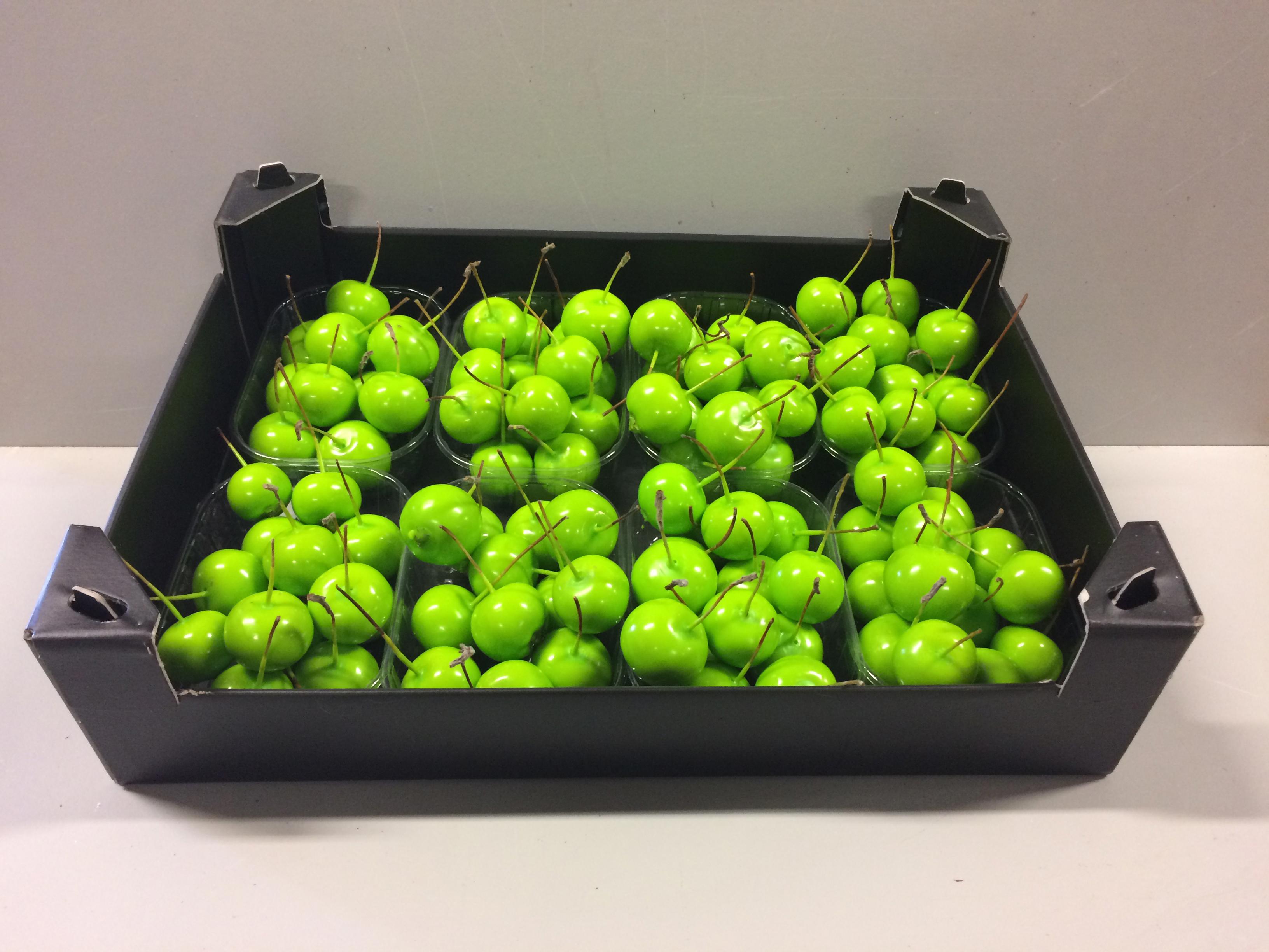 8x Sf malus wax mintgroen