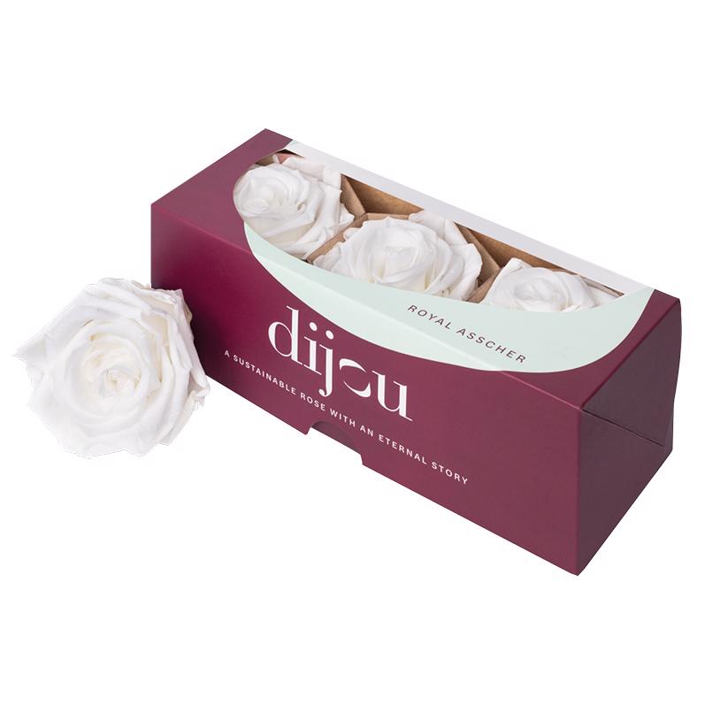 3x Dc pres.rozen ivory 4300t