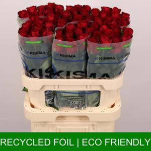 20x Rosa madam red 80cm