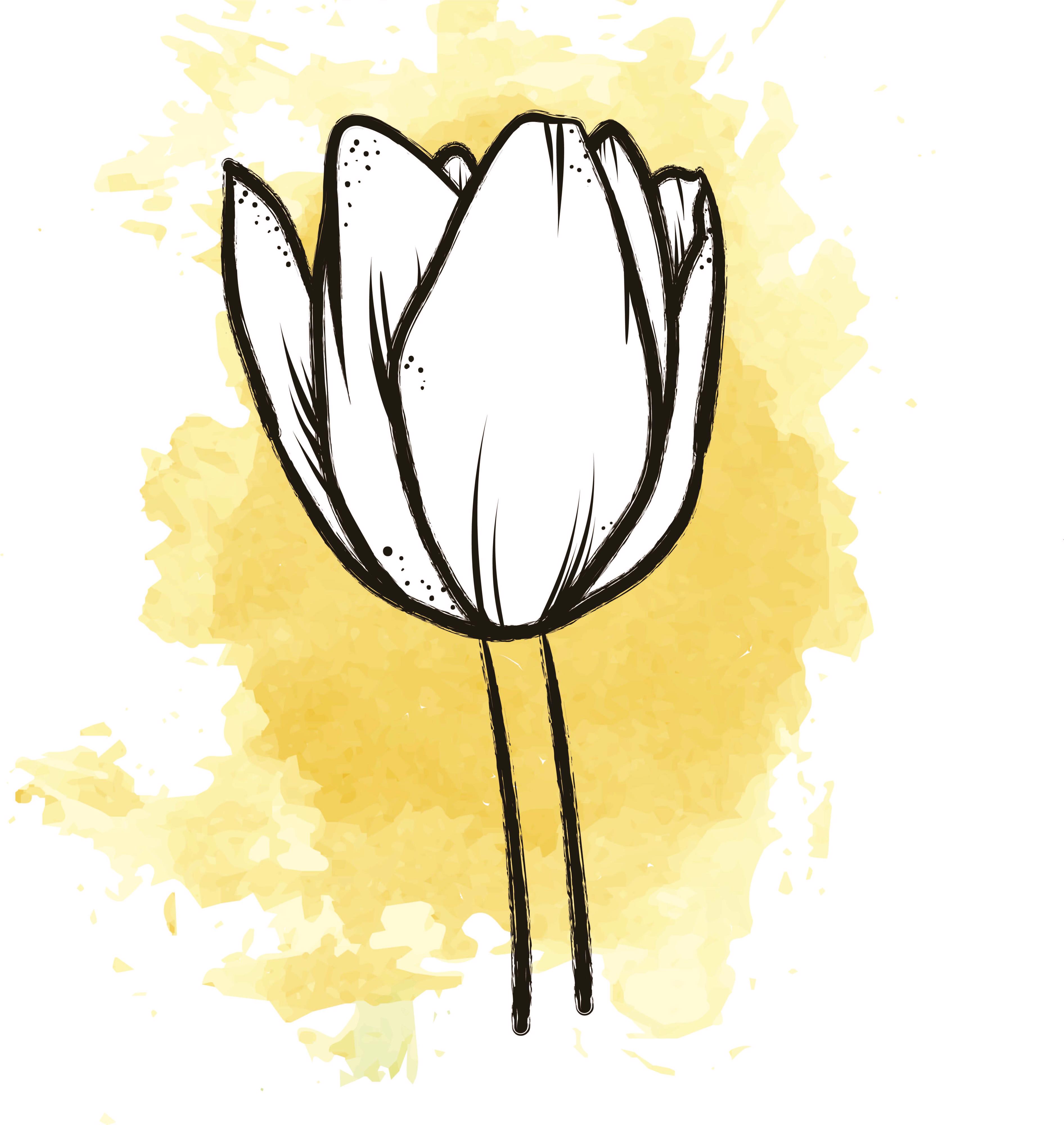 50x Tulipa 5 geel du 30cm