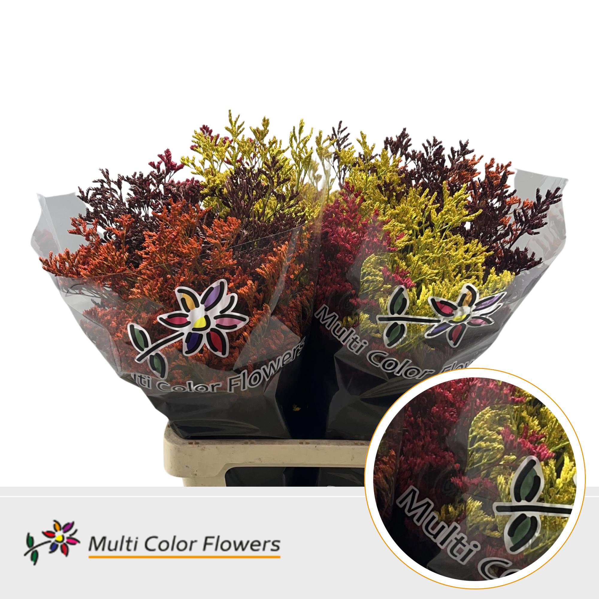 25x Lim. herfst mix 70cm