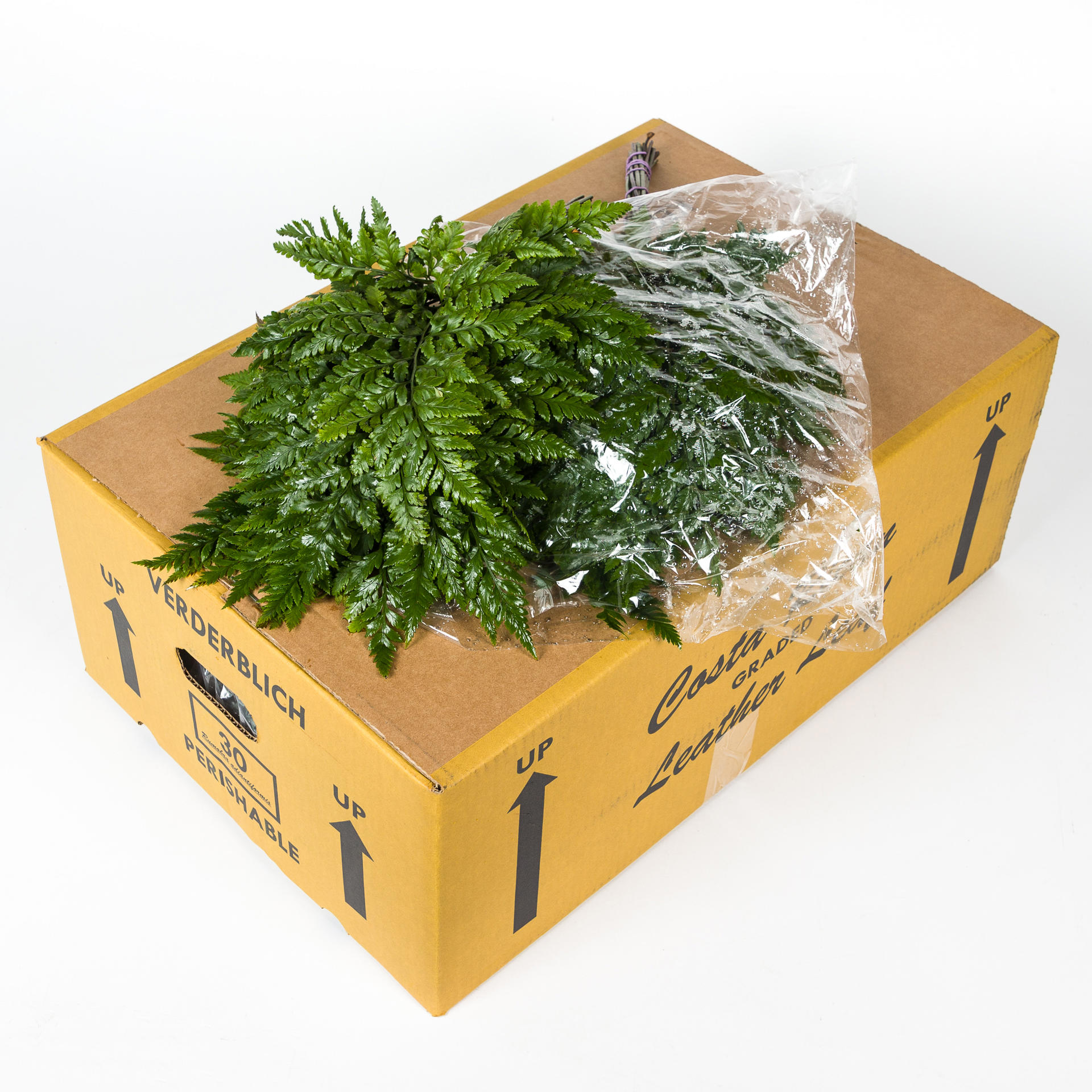 30x Sg ledervaren medium
