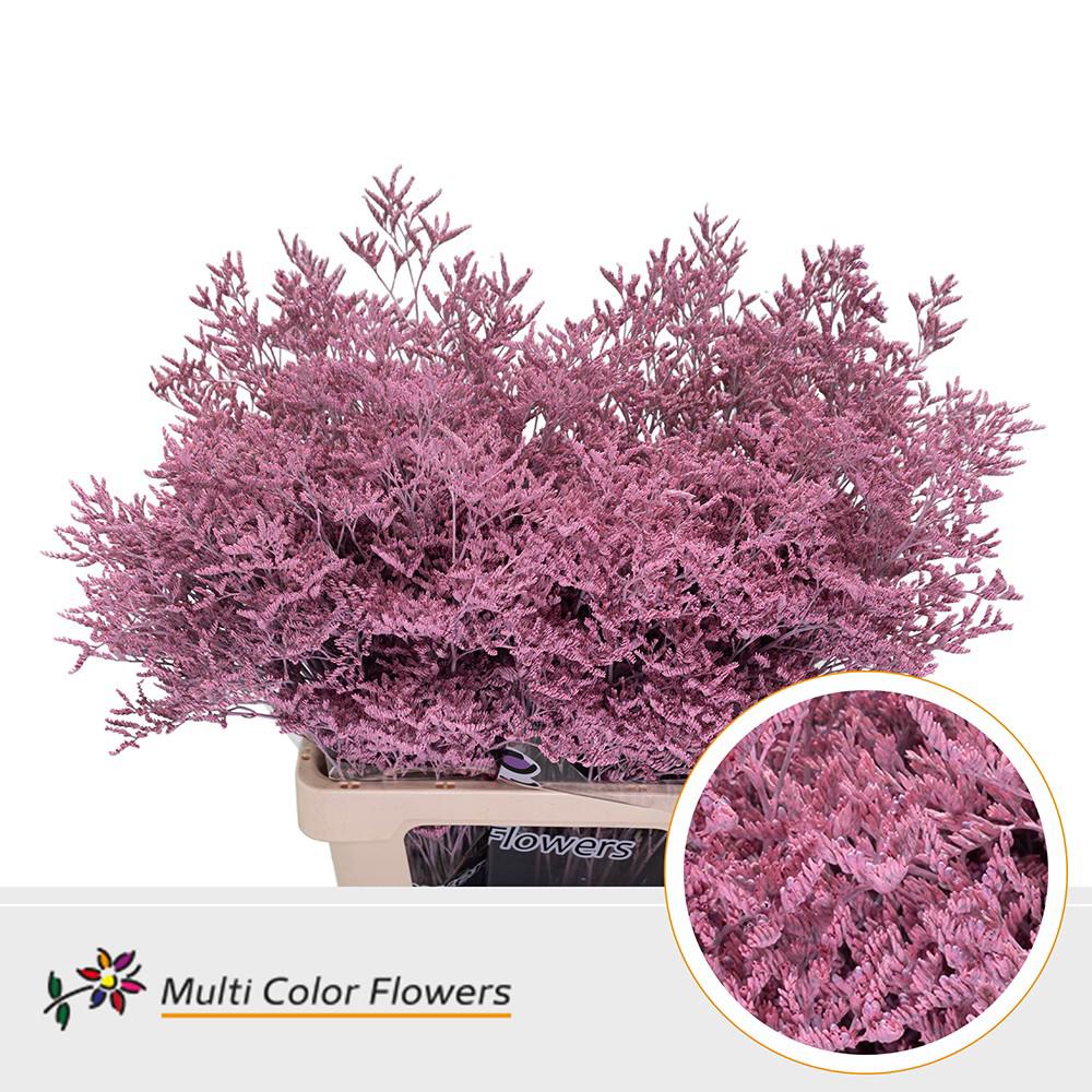 25x Lim. roze 70cm