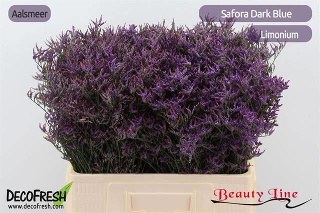 25x Lim.safora dark blue 60cm
