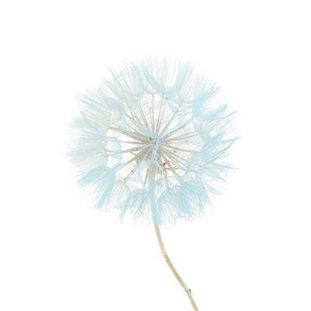 6x Sg decoratiegroen h% 30cm