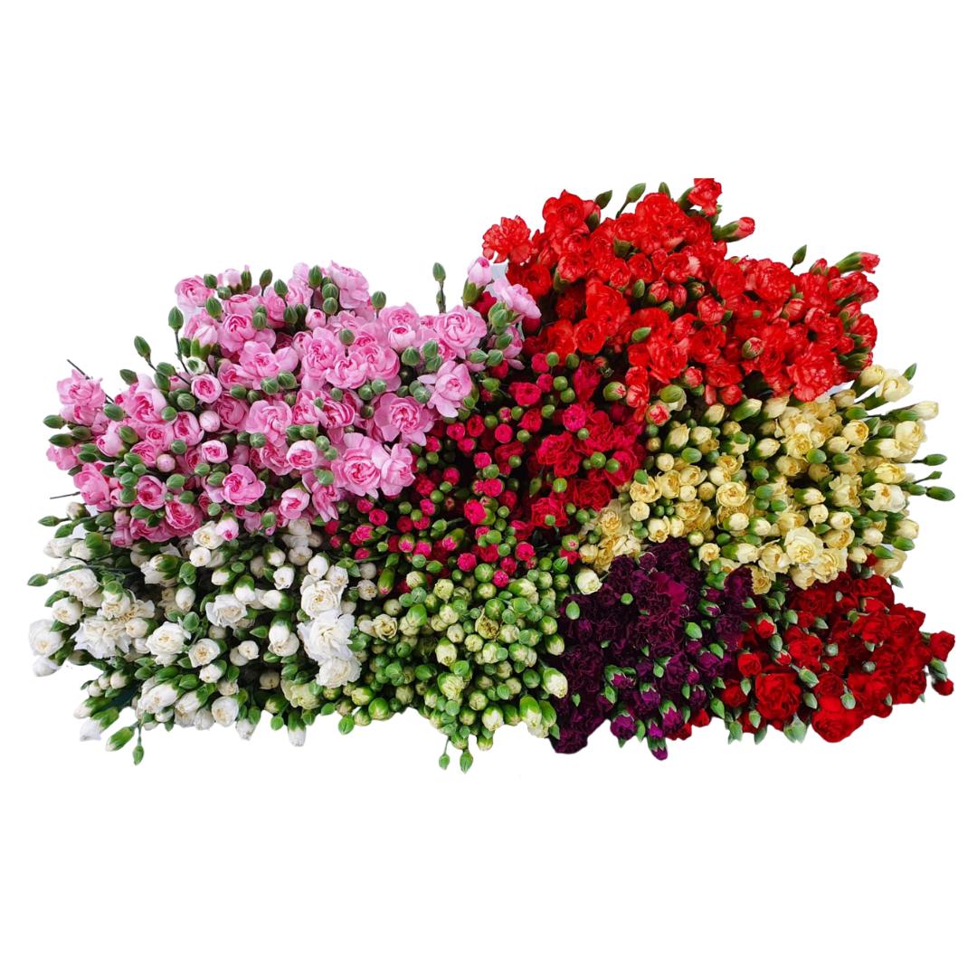 200x Dian.tr.novelty mix 60cm