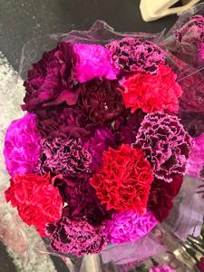 20x Dian.st.red fire mix/bos 60cm