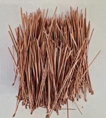 5x Ko pinus strobus naalden koper 10cm