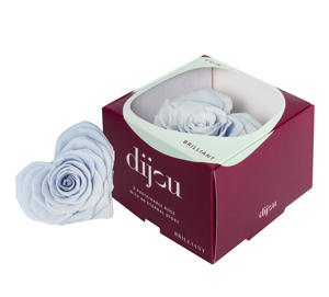 1x Dc pres.rozen lavendel heartshape xl
