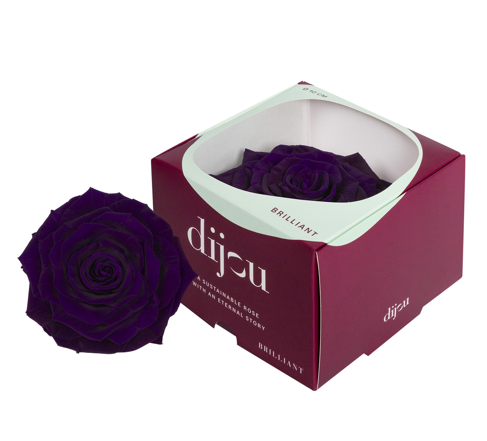1x Rose preserved dc purple 0669ce