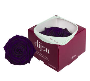 1x Rose preserved dc purple 0669ce