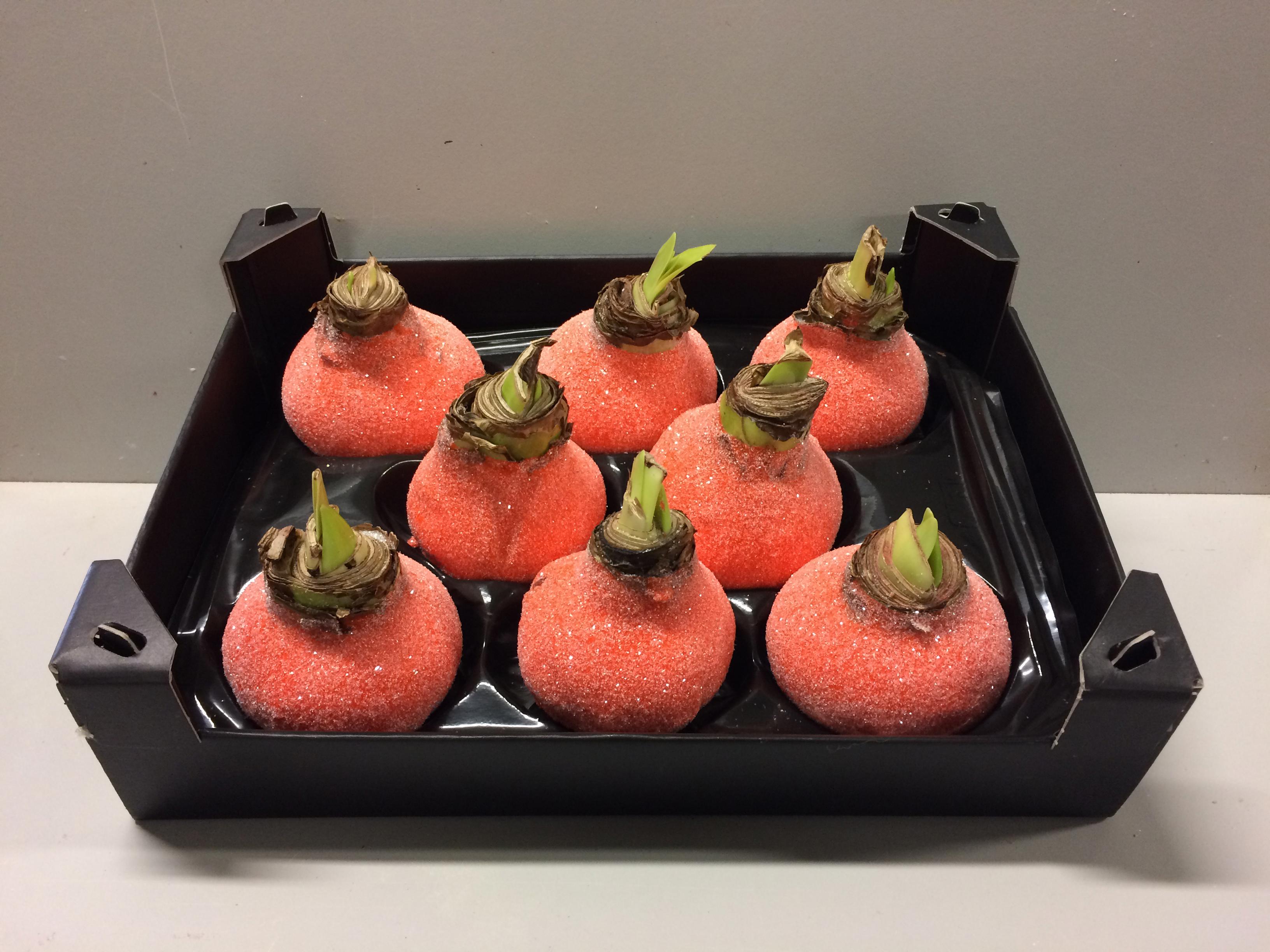 8x Dc wax hipp.oranje glitter
