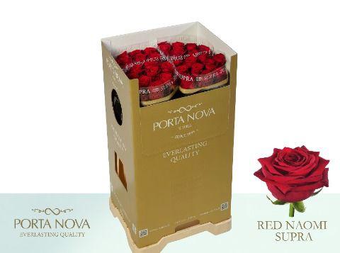 10x Rosa red naomi! 70cm