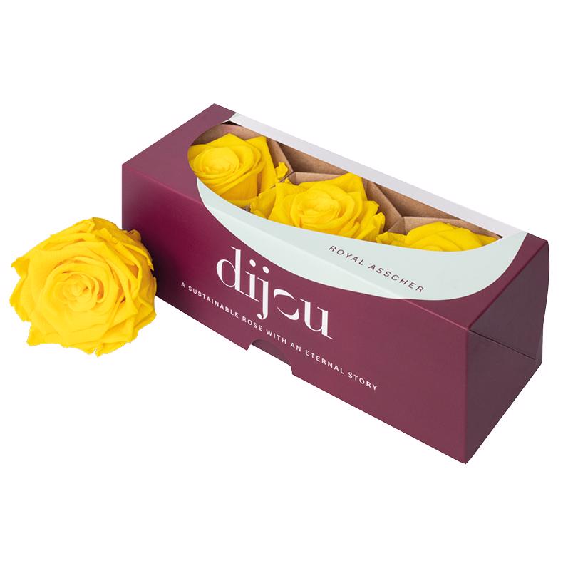 3x Dc pres.rozen sunny yellow 0012c