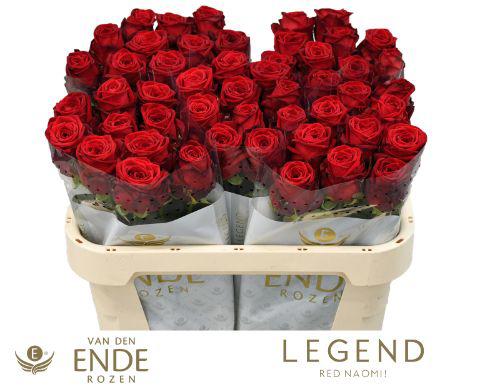 10x Rosa red naomi! 70cm