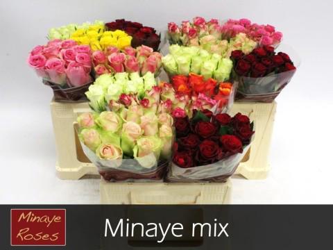 60x Rosa mix vast minaye 30cm