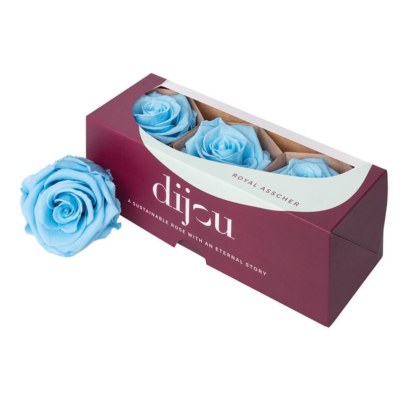 3x Dc pres.rozen light blue 0291c