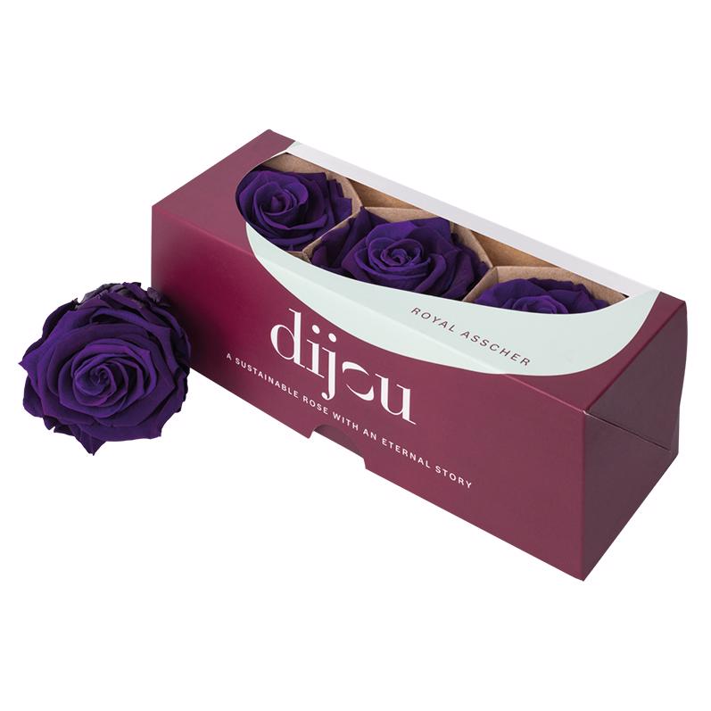 3x Rose preserved dc purple 2623c