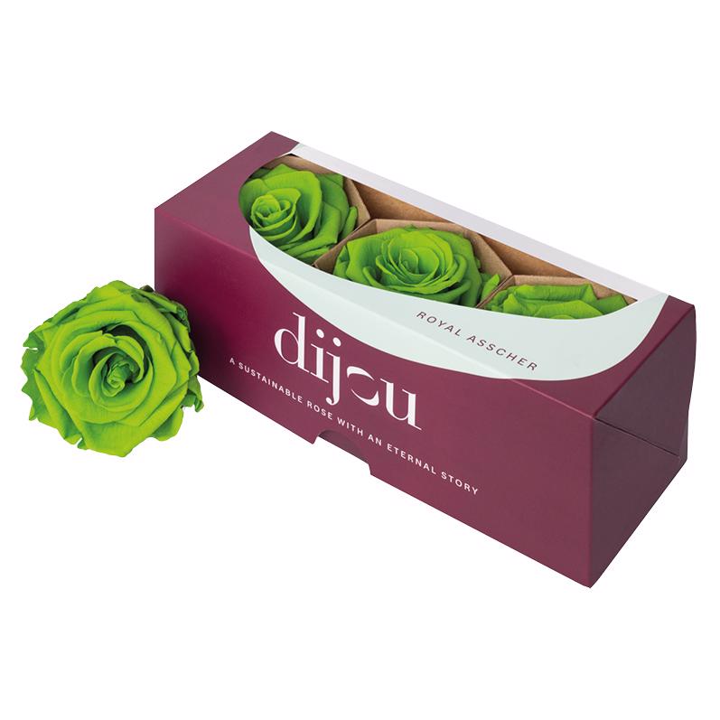 3x Dc pres.rozen lime green 2298c
