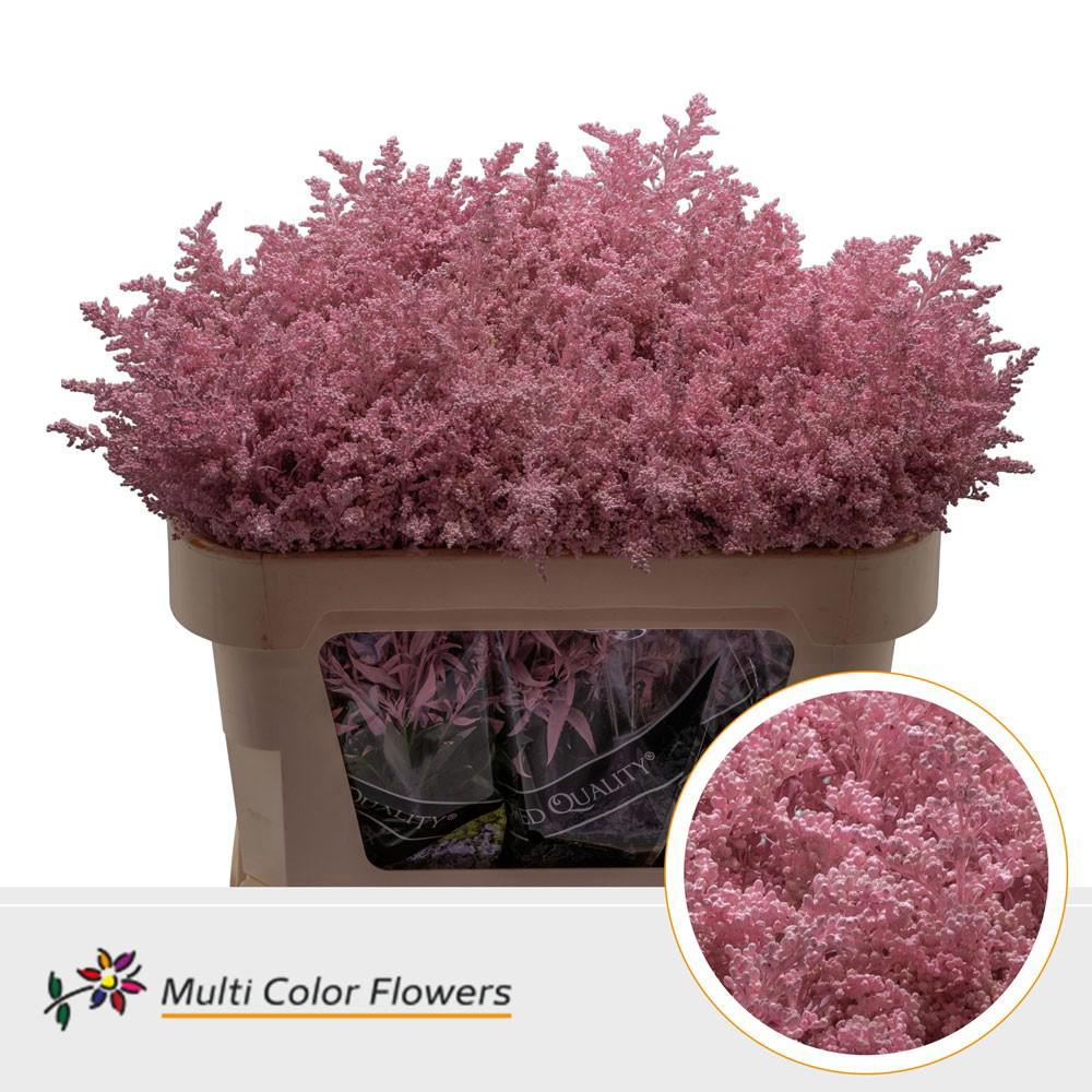 25x Solid.(v) roze 70cm