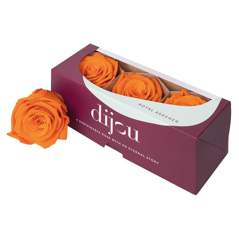 3x Dc pres.rozen orange 1505c