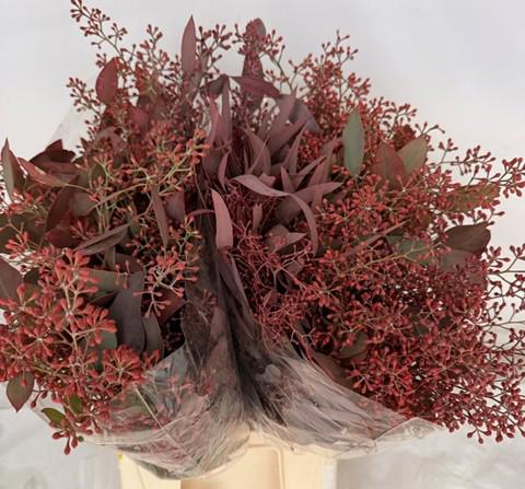 5x Sg eucalyptus pol.bes kort abs rood 40cm