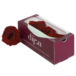 3x Dc pres.rozen dark amber