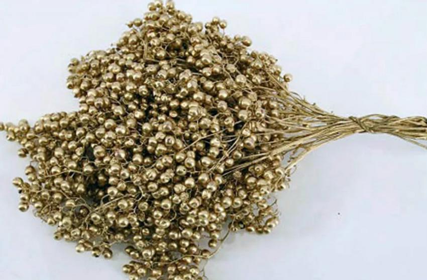 10x Dc pepper berry goud